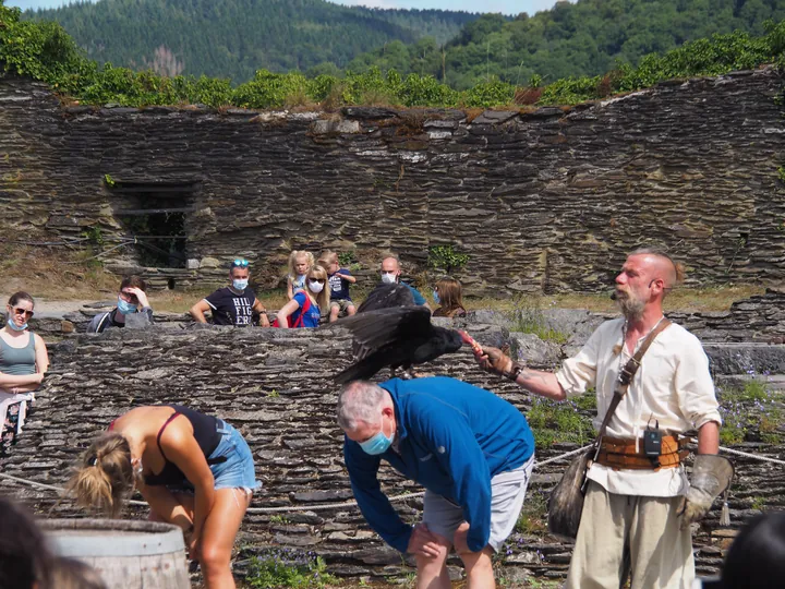 Roofvogelshow in Château de La Roche-en-Ardenne (België)